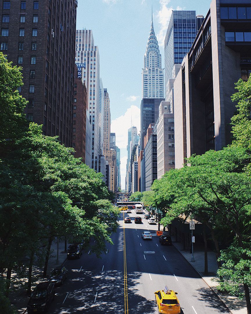 robert-bye-WTPp4wgourk-unsplash