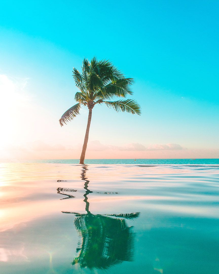 shreyas-sane-G9QPsPvw63g-unsplash