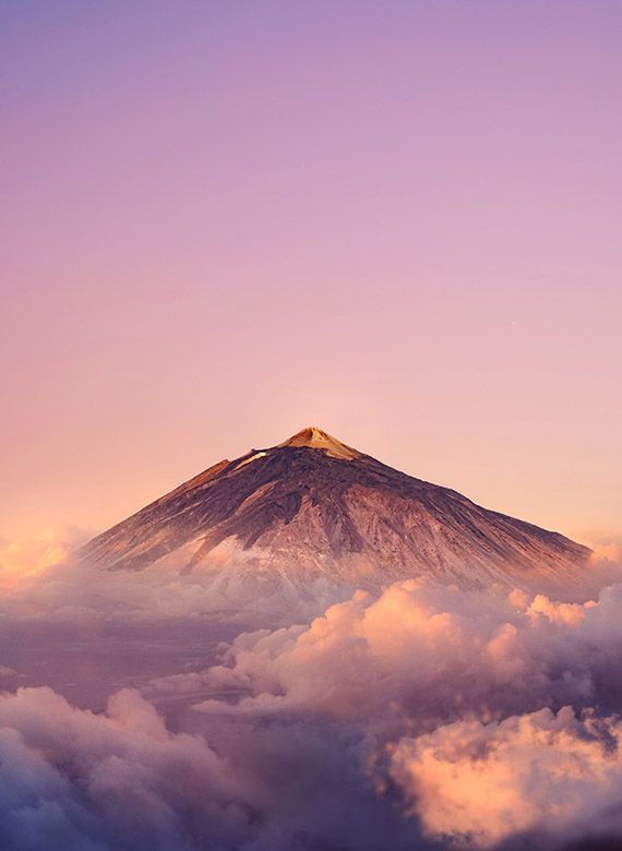 hert-niks-S7QZcYLJJsA-unsplash